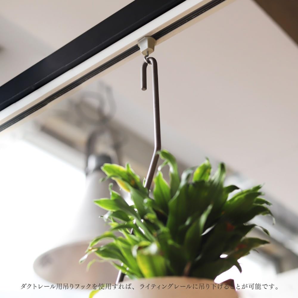 Amazon | PLOP HANGING HOLDER プロップ ハンギングホルダー (Sサイズ